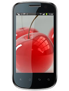 Best available price of Celkon A19 in Dominica
