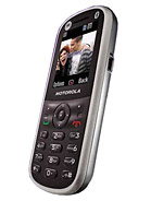 Best available price of Motorola WX288 in Dominica