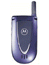 Best available price of Motorola V66i in Dominica